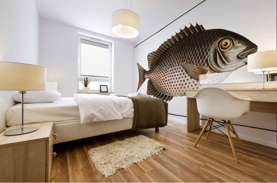 Chaetodon guttatus Mural print