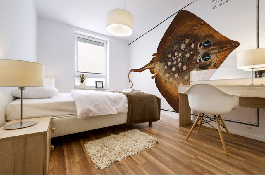 Thornback Raja clavata Mural print