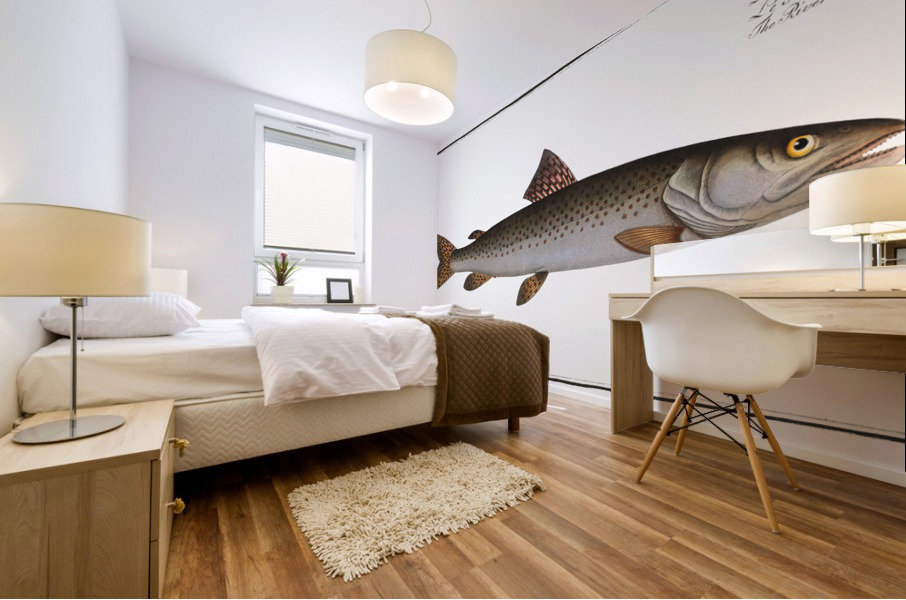 River-Salmon Salmo Hucho Mural print