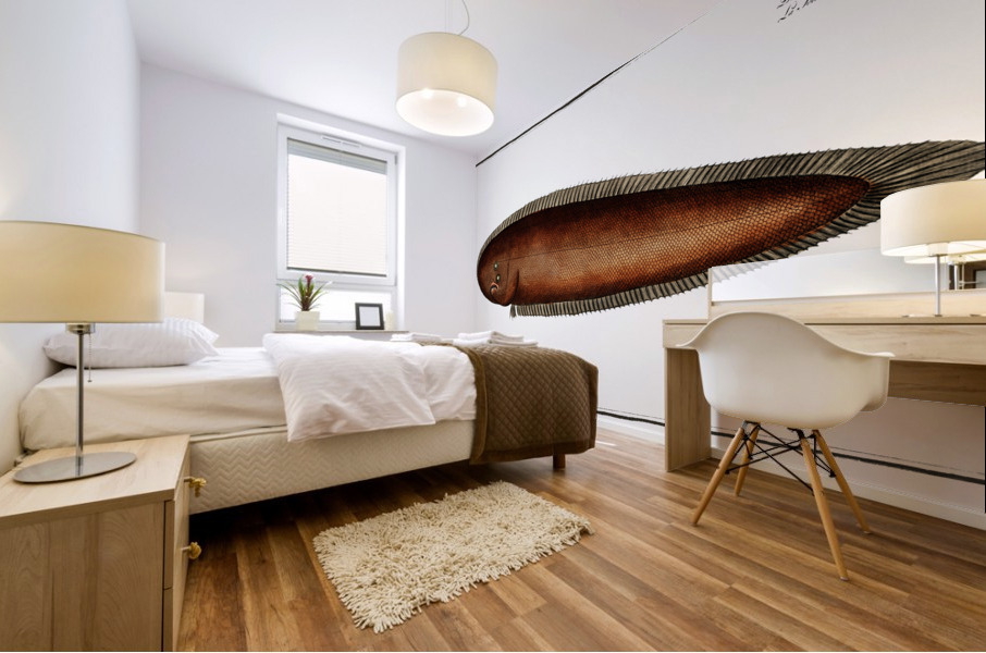 Pleuronectes bilineatus Mural print