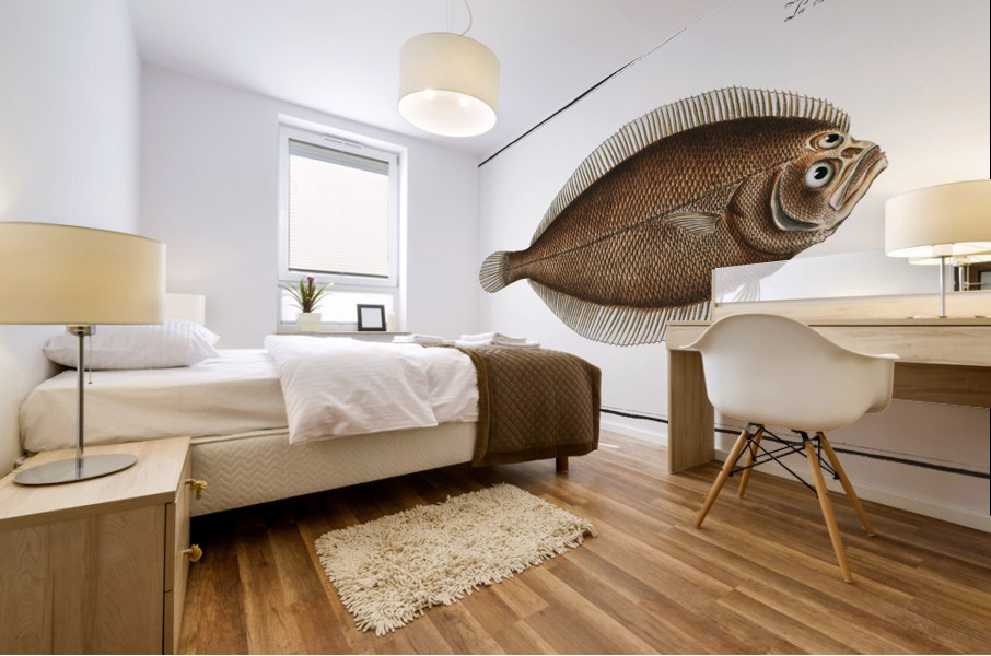 Pleuronectes limandoides Mural print