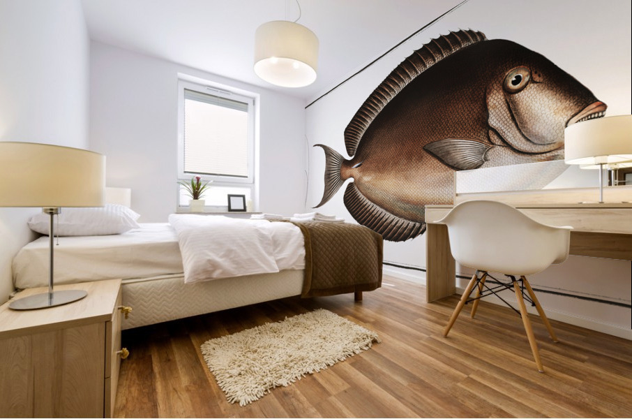 Chaetodon nigricans Mural print