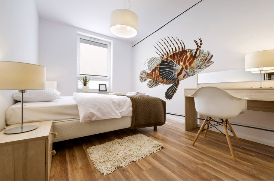 Scorpaena antennata Mural print