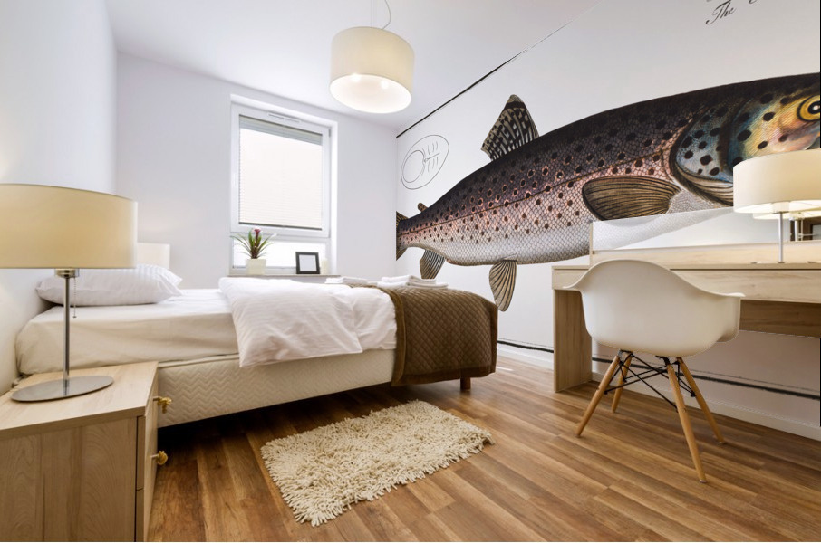 Trut Salmo Trutta Mural print