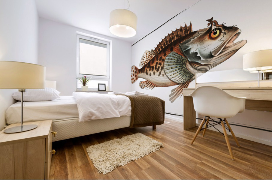 Scorpaena Porcus Mural print