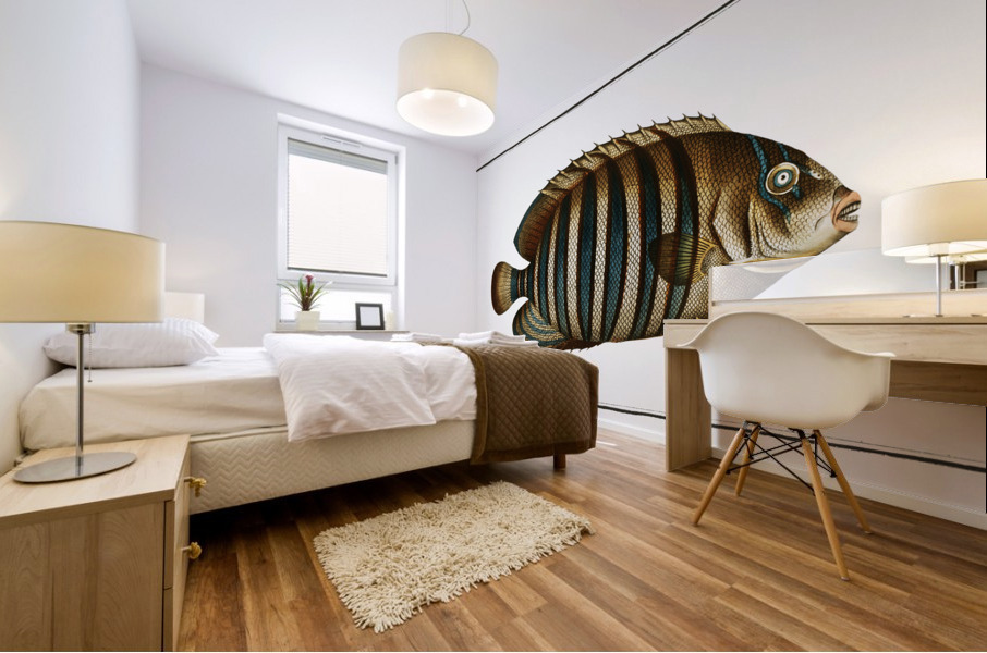 Chaetodon fasciatus Mural print