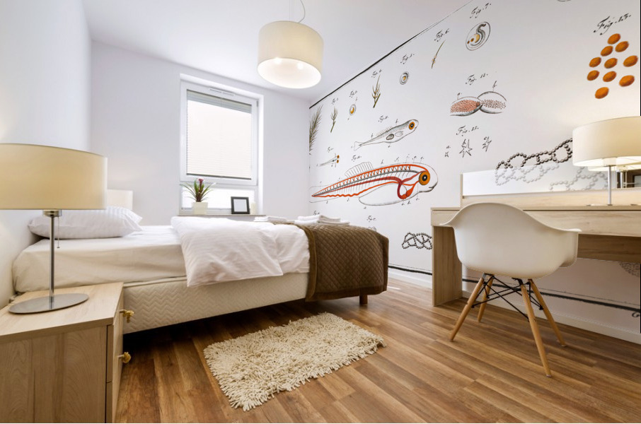 Fish hatching and growing Mural print