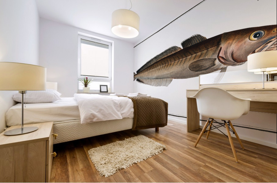 Ling Gadus Molva Mural print