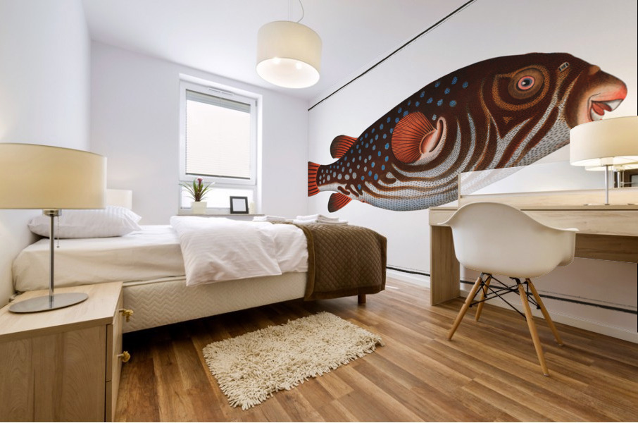 Toadfish Tetrodon Testudineus Mural print