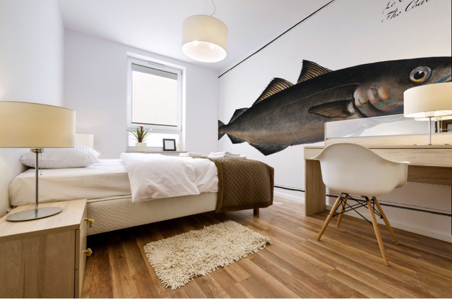 Coal Fish Gadus Carbonarius Mural print