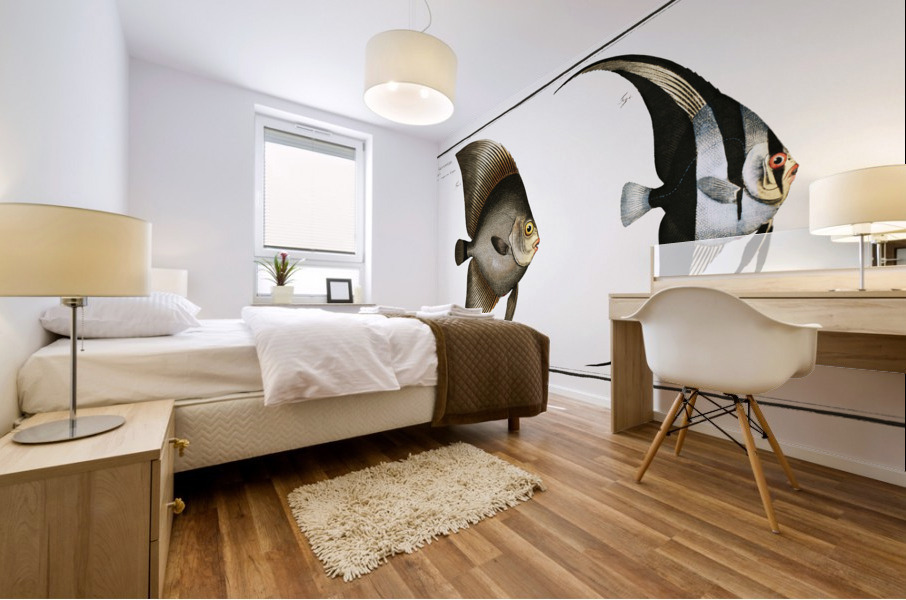 1. Chaetodon Teira 2. Chaetodon Vespertilio Mural print