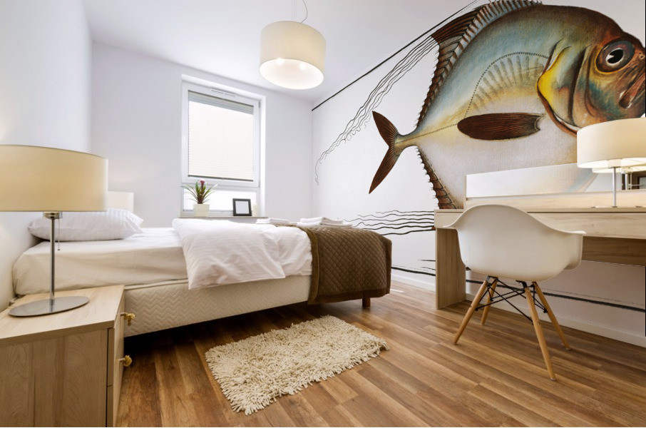 Zeus ciliaris Mural print