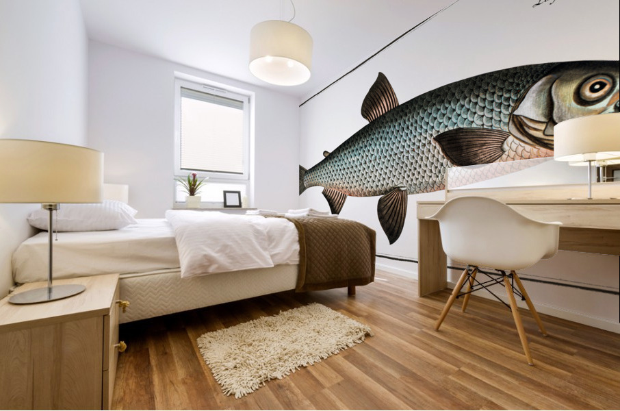 Great-Maræna Salmo Maræna Mural print