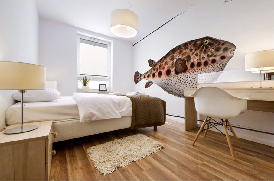 Spenglers Tetrodon Tetrodon Spengleri Impression murale