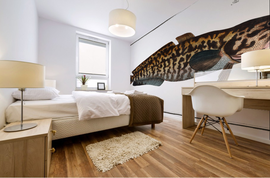 Burbot Gadus Lota Mural print