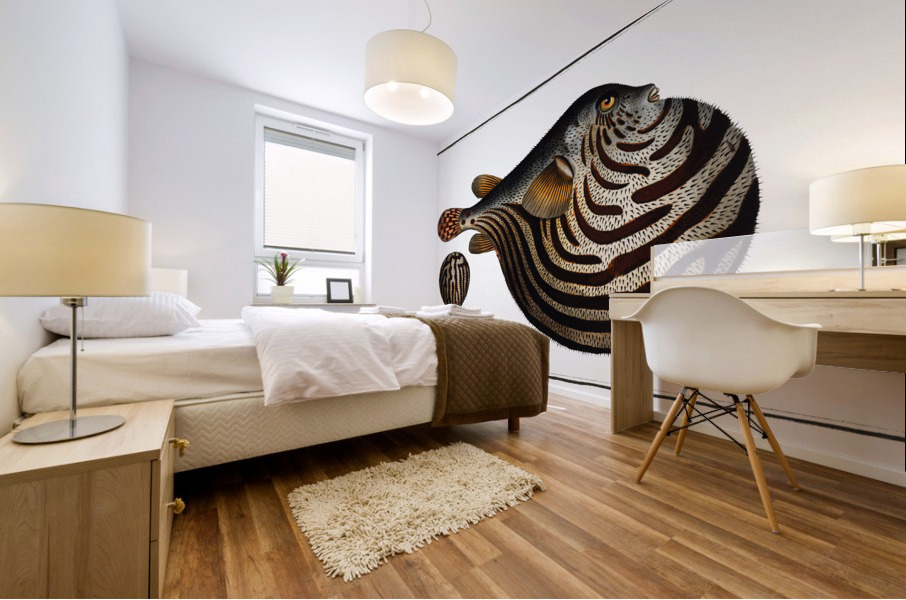 Striped Globe Tetrodon leneatus Impression murale