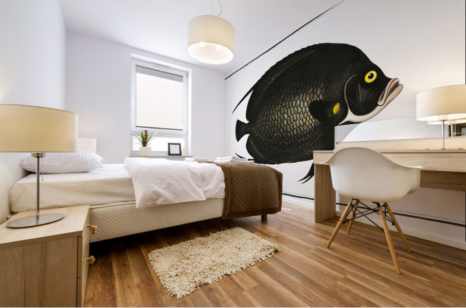 Variegated Angel-fish Chaetodon Paru Impression murale