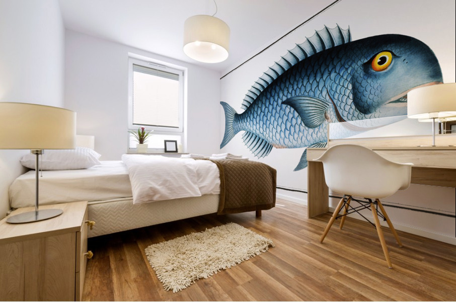 Bleu-Fish Coryphaena coerulea Mural print