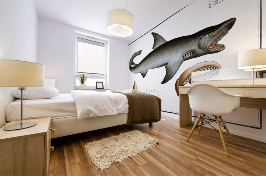 White Shark Squalus Carcharias Mural print