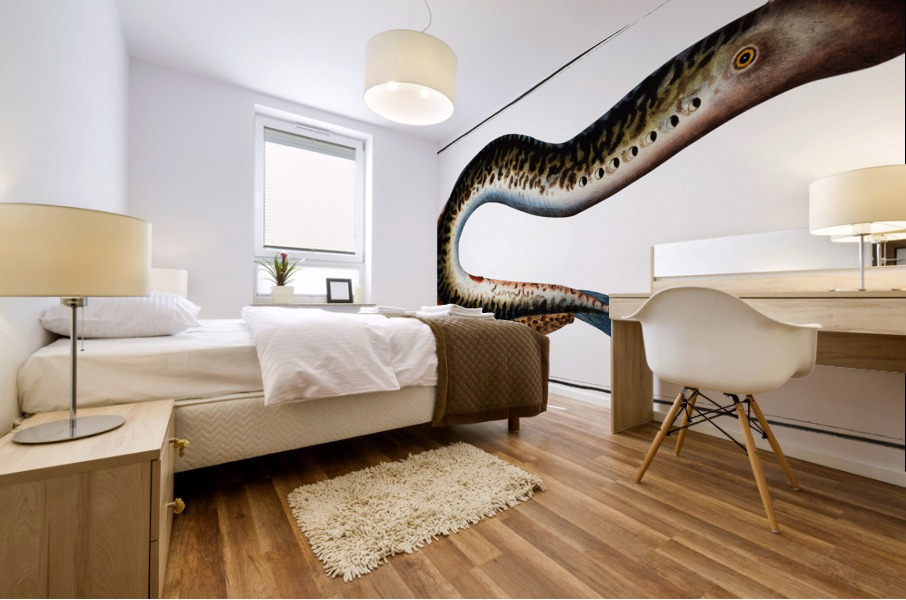 Lamprey Petromizon marinus Mural print