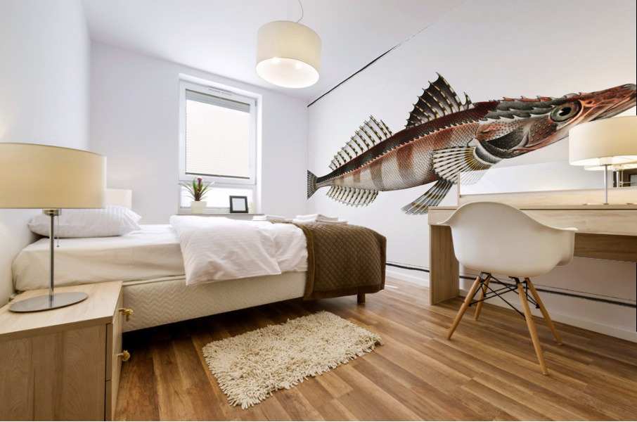 Cottus scaber Mural print