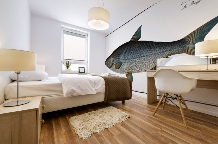 Buggenhagens-Carp Cyprinus Buggenhagii Mural print