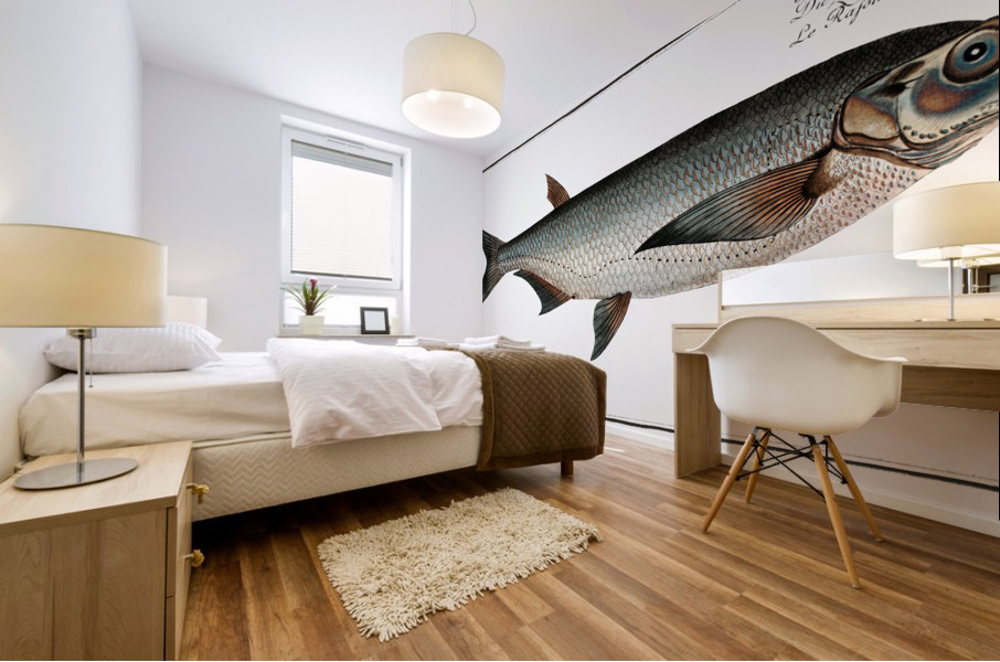 Knife-Carp Cyprinus Cultratus Mural print