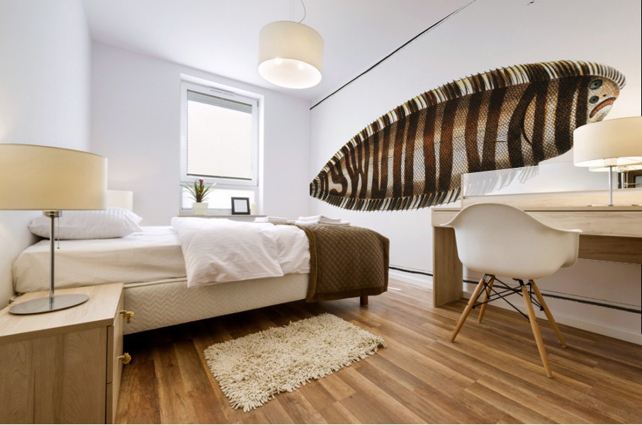 Pleuronectes Zebra Mural print