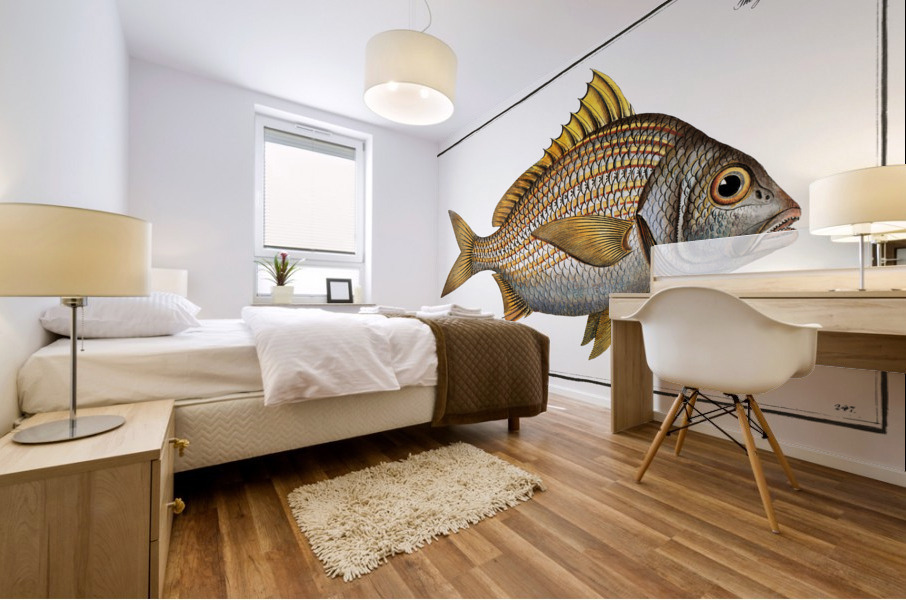 Yellow-fin Lutianus luteus Impression murale