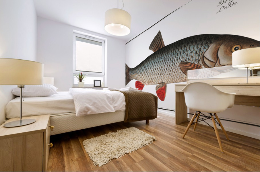 Idus-Carp Cyprinus Idus Mural print