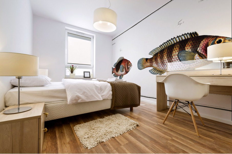 1. Goldsinny Lutjanus Rupestris 2. Saddle Lutjanus Ephippium Impression murale