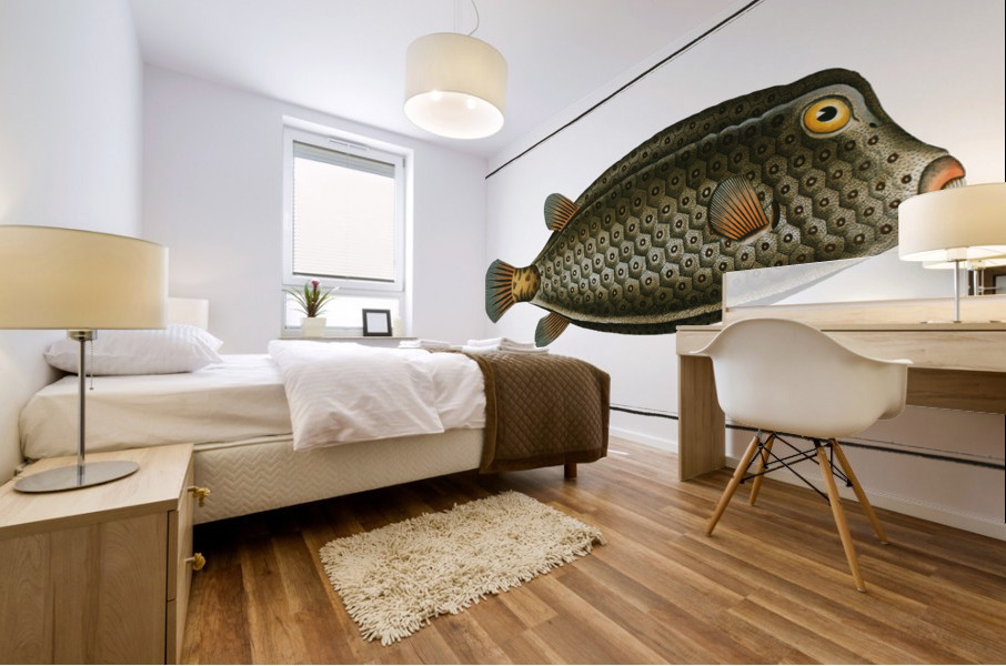 Square-Fish Ostracion cubicus Mural print