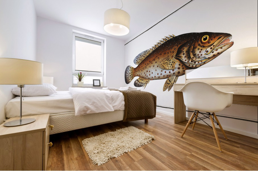 Jen-fish Bodianus guttatus Mural print