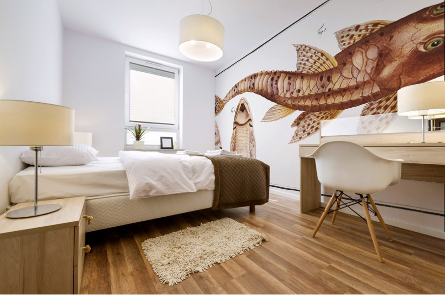 Maculated Cuirassier Loricaria maculata Mural print