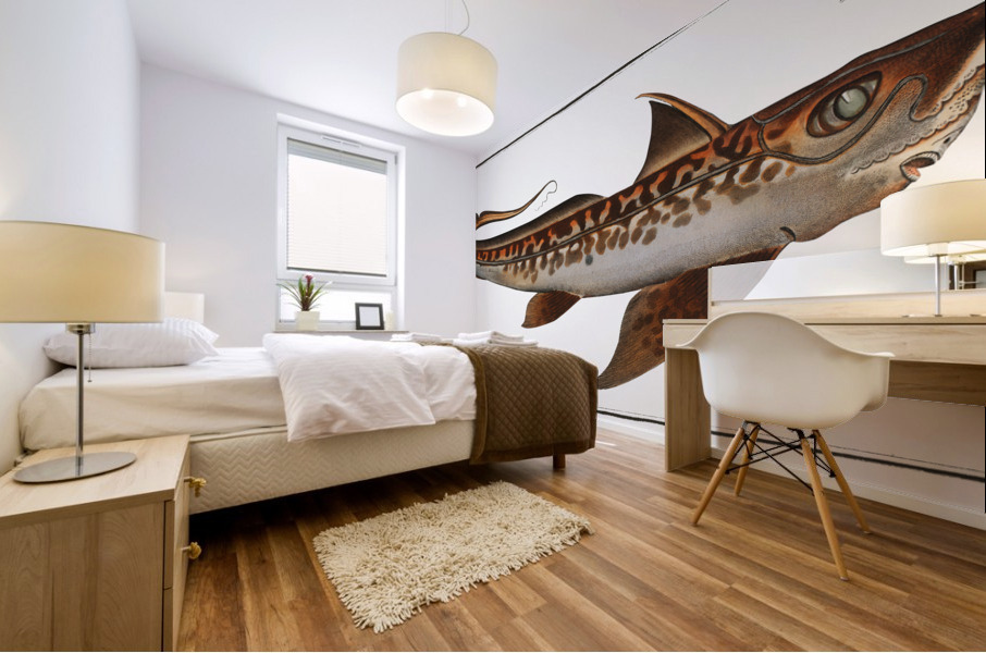 Chiméra Chimaera Monstrosa Mural print