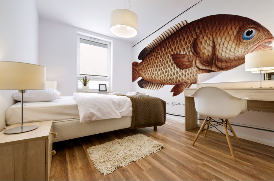 Tortoise-fish Anthias testudineus Mural print