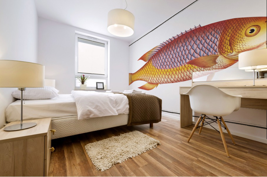 Bodian Bodianus Bodianus Mural print