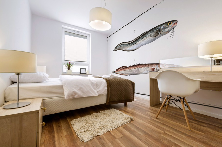 1. Ophidium Barbatum 2. Ophidium aculeatum Mural print