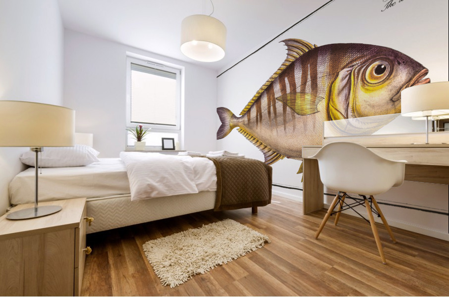 Toothless Mackrel Scomber edentulus Mural print