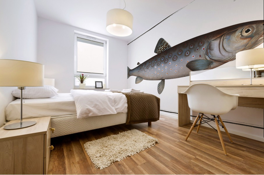 Goedens Salmon Salmo Goedenii Mural print