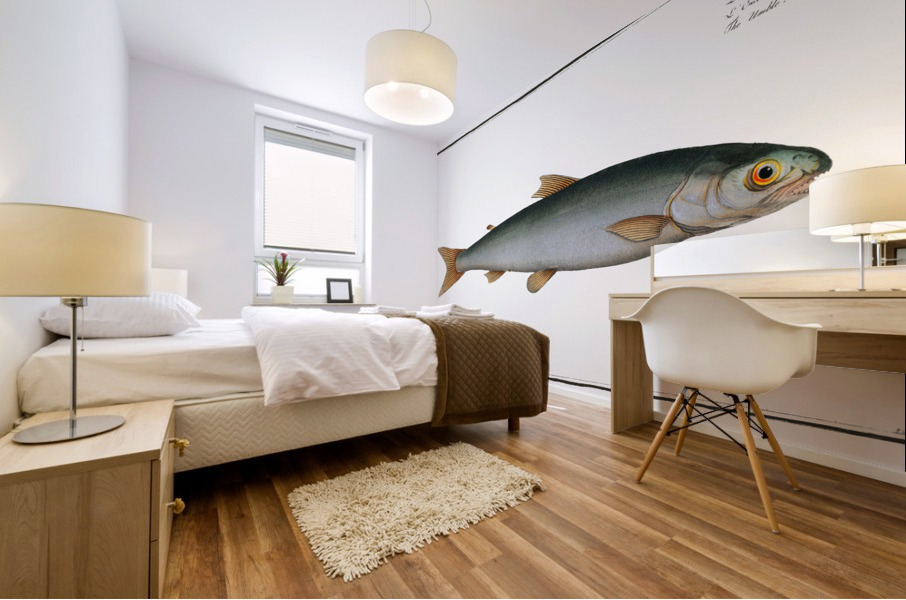 Umble Salmo Umbla Mural print