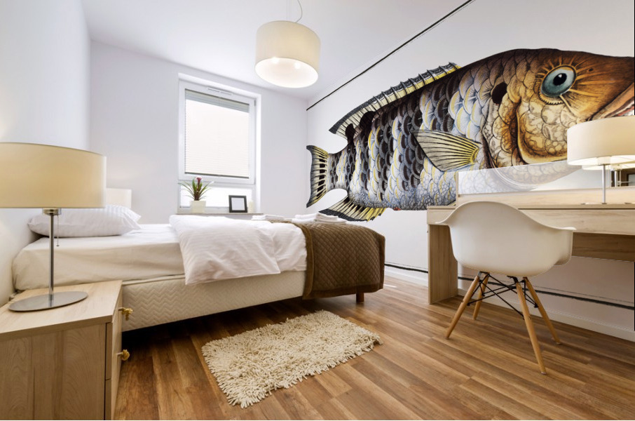 Streaked Gilt-head Sparus Fasciatus Mural print