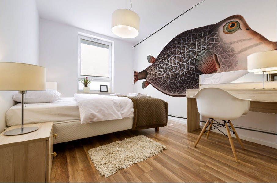 Knitted Trunk-Fish Ostracion Concatenatus Impression murale