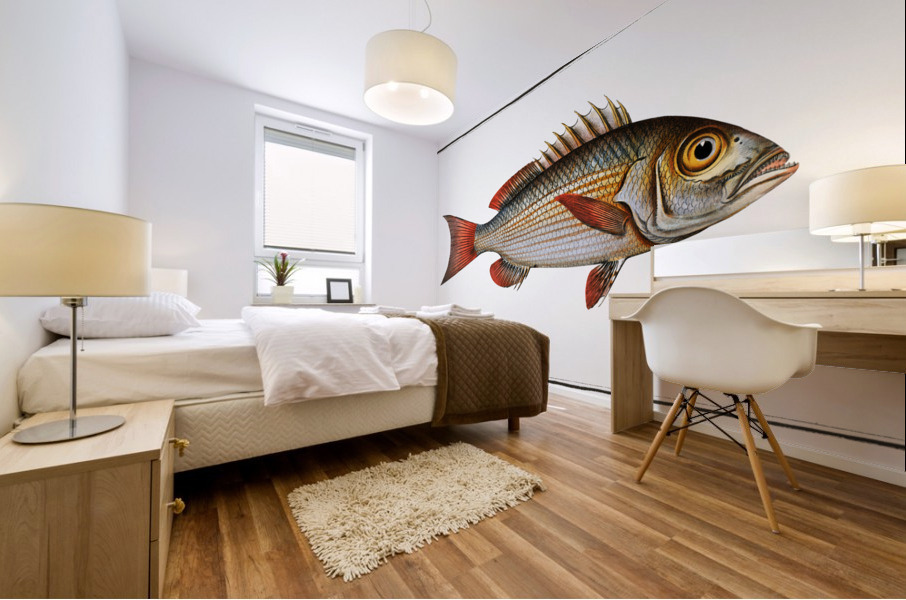 Lutian Lutianus Lutianus Mural print