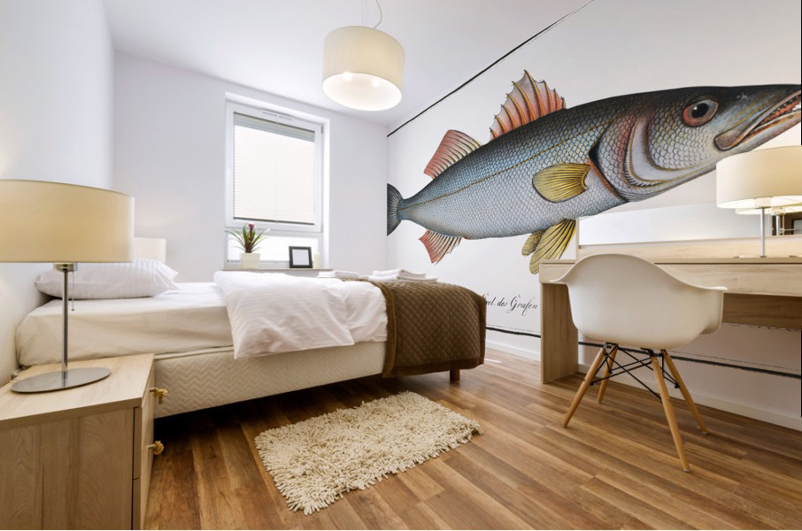 Basse Sciaena Labrax Mural print