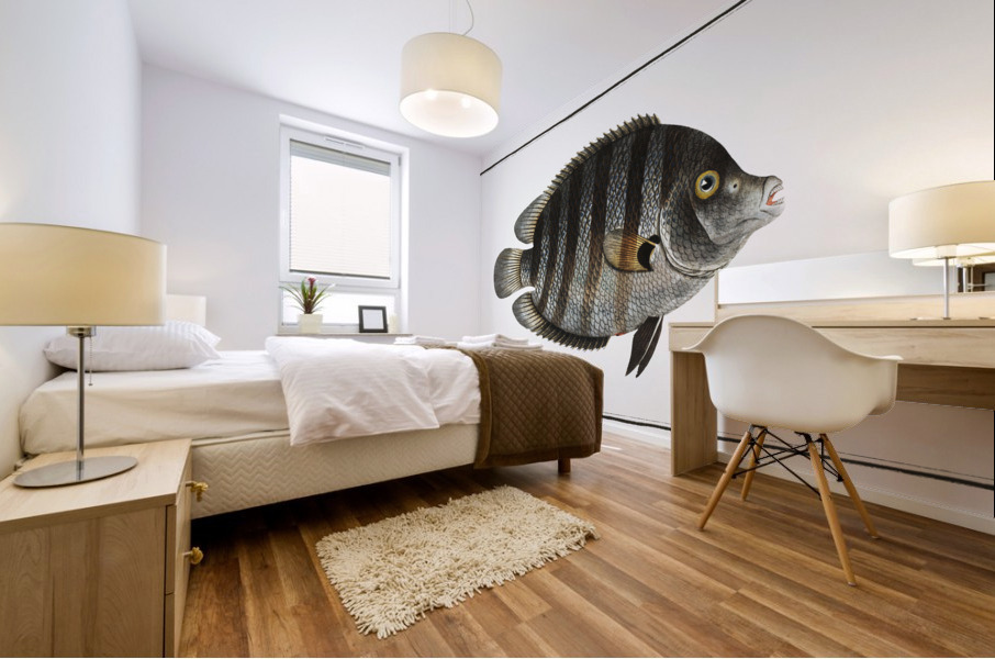 Chaetodon suratensis Mural print