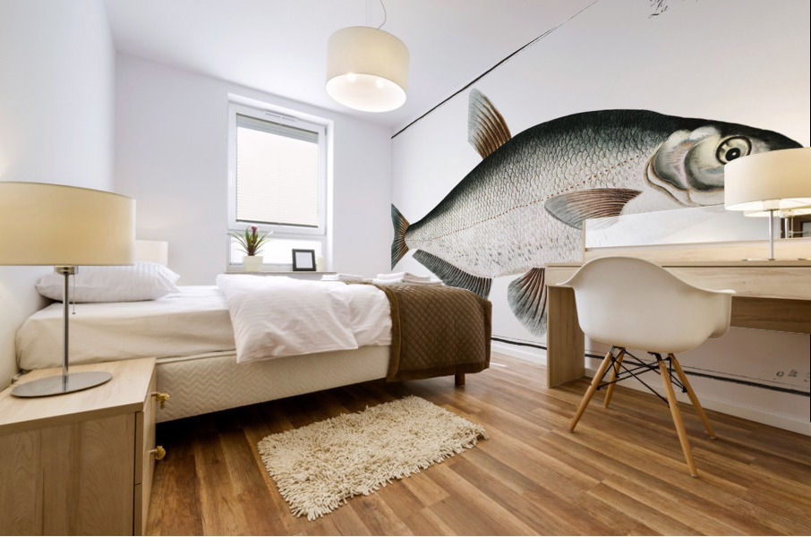Baller-Carp Cyprinus Ballerus Mural print