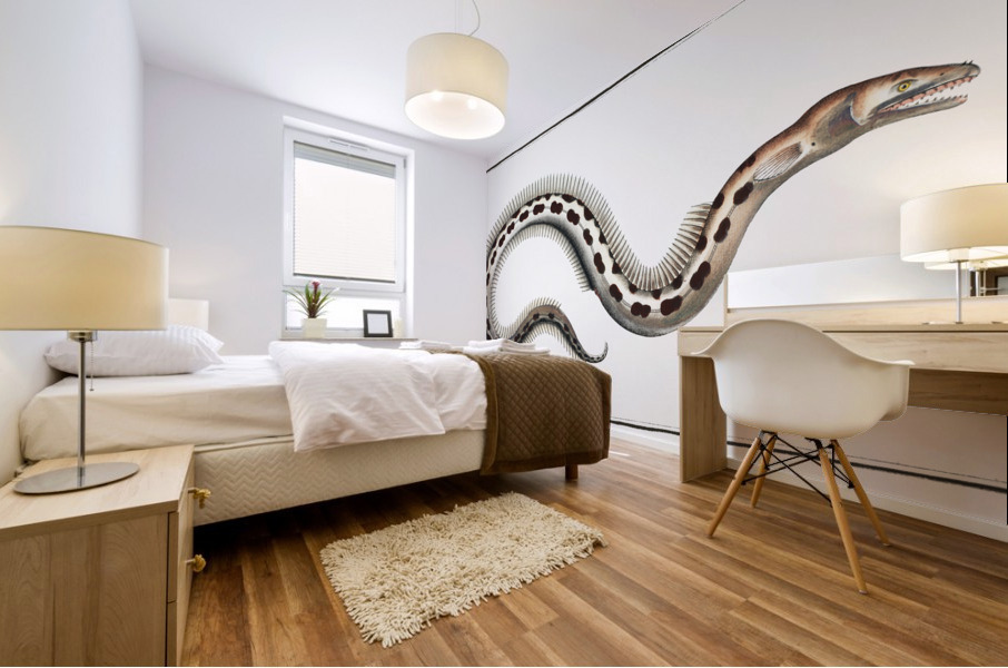 Muraena Ophis Mural print