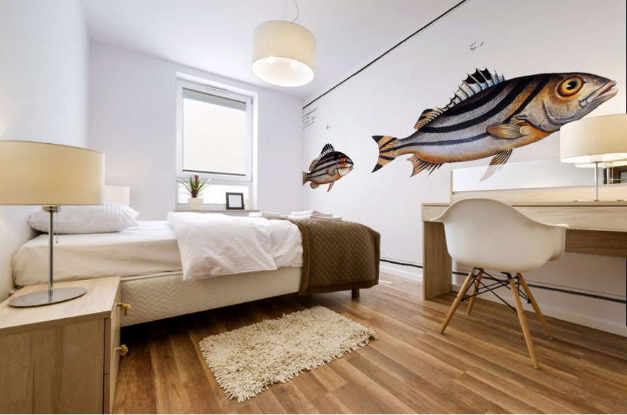 1. Slave-fish Holocentrus Servus 2. Four-striped Holocentre Holocentrus quadrilineatus Mural print