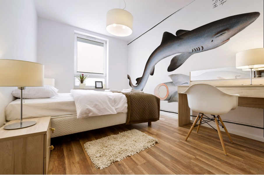 Tope or Pope Squalus Galeus Mural print